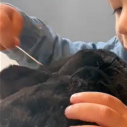 Make a Plush Bear Kit