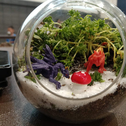 Terrarium Kit