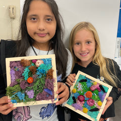 STEAM Maker Classroom Sets