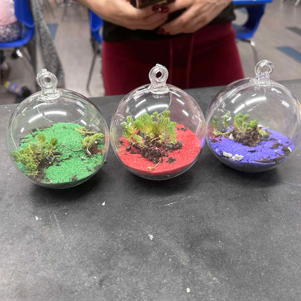 Terrarium Kit