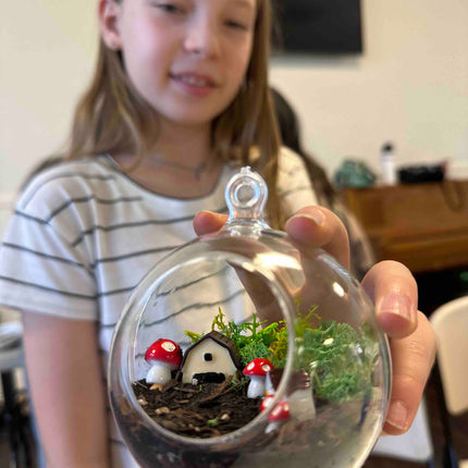 Terrarium Kit