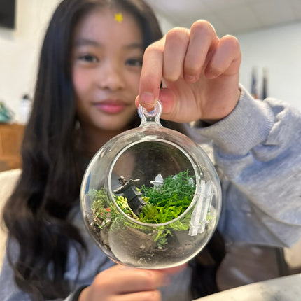 Terrarium Kit