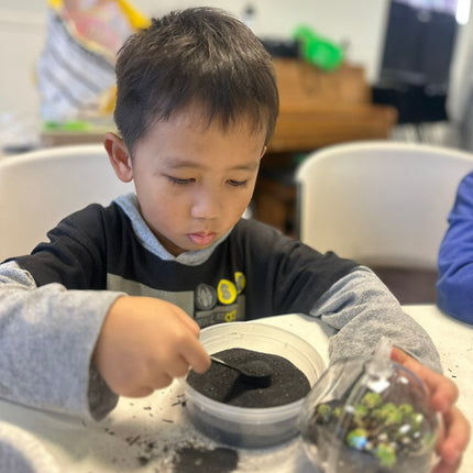 Terrarium Kit