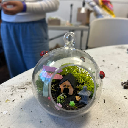 Terrarium Kit